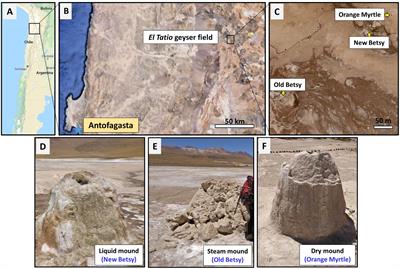 Microbial Biomarker Transition in High-Altitude Sinter Mounds From El Tatio (Chile) Through Different Stages of Hydrothermal Activity